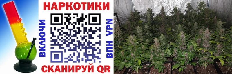 Купить COCAIN Меф мяу мяу АМФ Конопля ГАШ A-PVP Ивангород