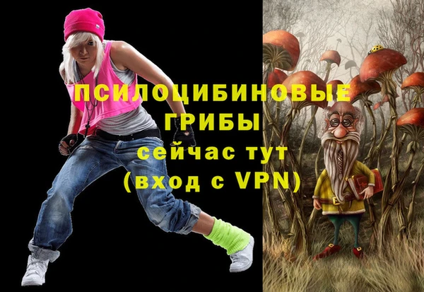 мдпв Магас