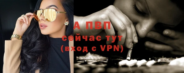 гидра Магадан