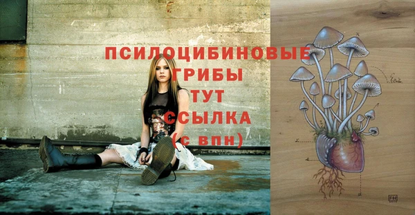 мдпв Магас