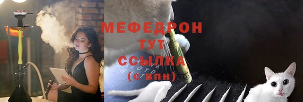 мдпв Магас
