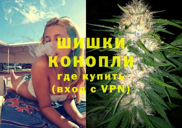 мдпв Магас