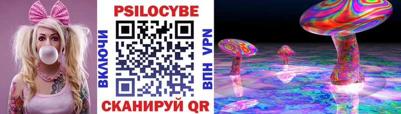 Купить закладки Ивангород Псилоцибиновые грибы Cubensis
